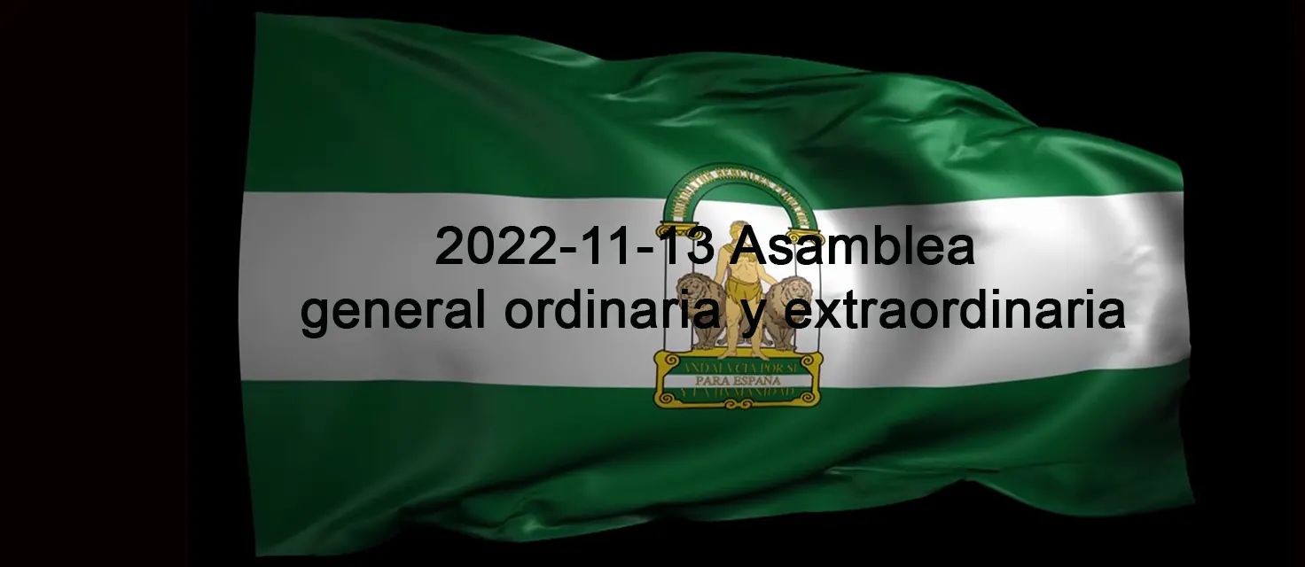 Asamblea general ordinaria y extraordinaria 2022